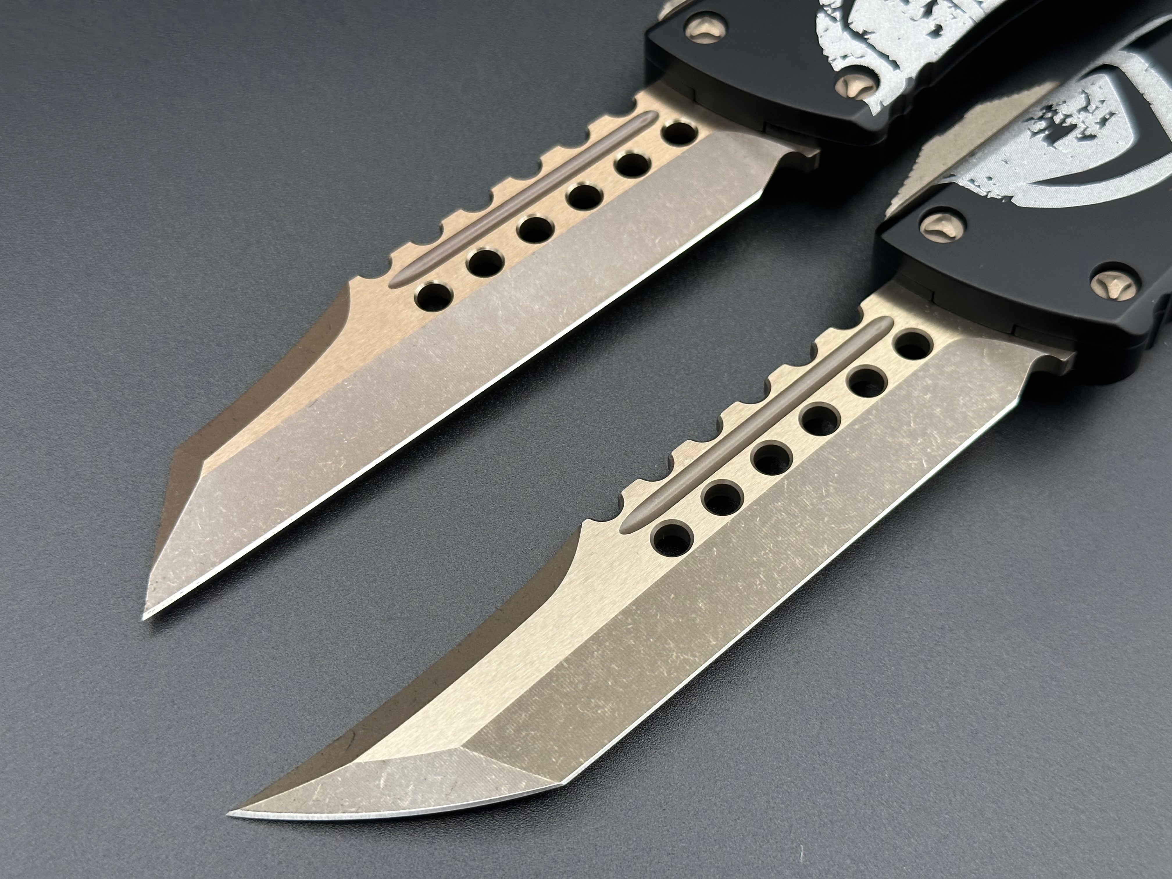 Combat Troodon Molan Labe Hellhound & Warhound Set 219-13SETMLS - Tristar Edge